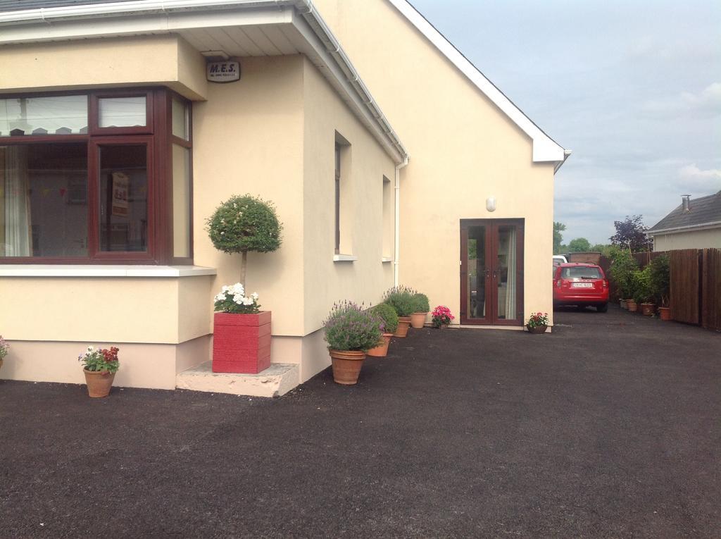 Seber House Bed & Breakfast Kilbeggan Bagian luar foto